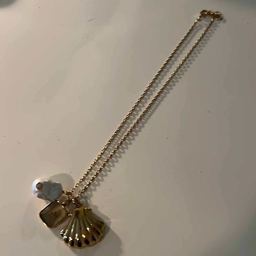 Tuckernuck charm necklace